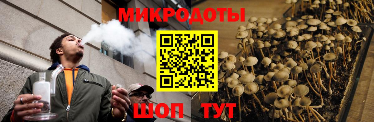 Псилоцибиновые грибы прущие грибы Юрга